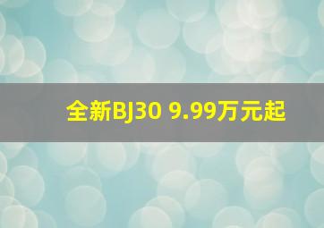 全新BJ30 9.99万元起